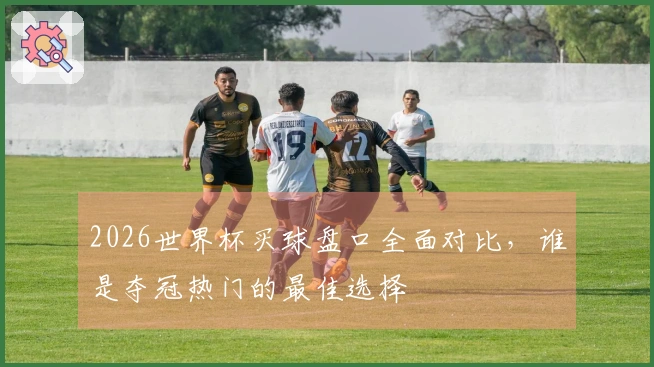 2026世界杯买球盘口全面对比，谁是夺冠热门的最佳选择