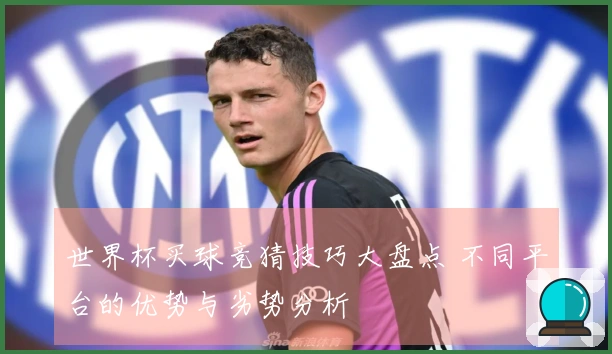 世界杯买球竞猜技巧大盘点 不同平台的优势与劣势分析