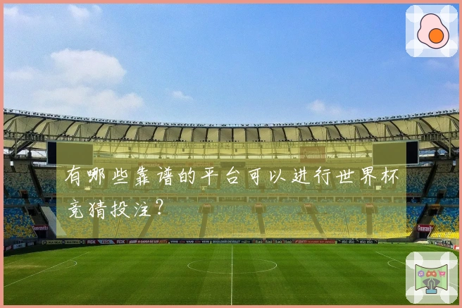 有哪些靠谱的平台可以进行世界杯竞猜投注？