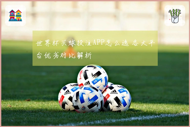 世界杯买球投注APP怎么选 各大平台优劣对比解析