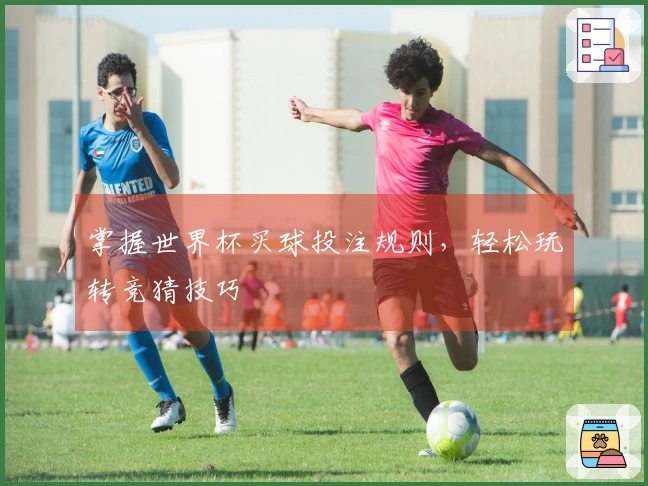 掌握世界杯买球投注规则，轻松玩转竞猜技巧