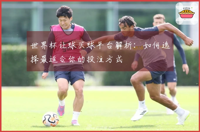 世界杯让球买球平台解析：如何选择最适合你的投注方式