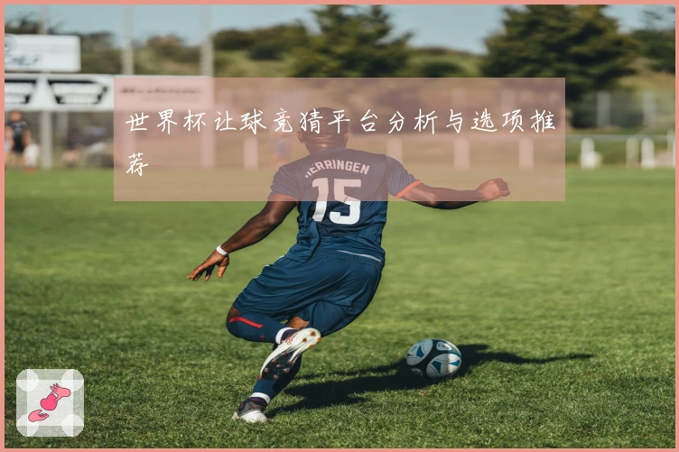 世界杯让球竞猜平台分析与选项推荐