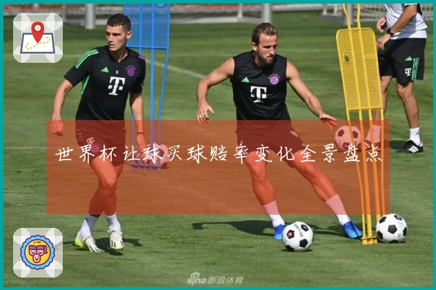 世界杯让球买球赔率变化全景盘点