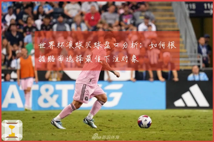世界杯滚球买球盘口分析：如何根据赔率选择最佳下注对象
