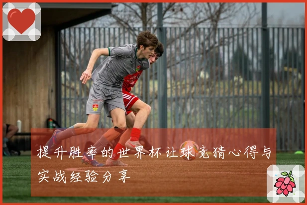 提升胜率的世界杯让球竞猜心得与实战经验分享