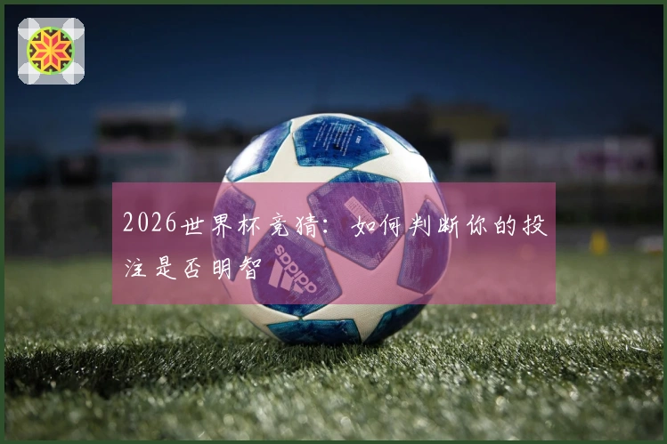 2026世界杯竞猜：如何判断你的投注是否明智