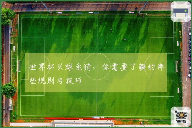 世界杯买球竞猜，你需要了解的那些规则与技巧