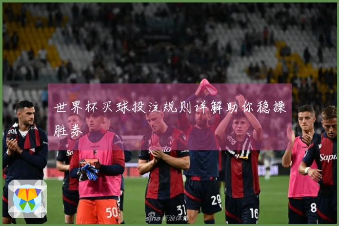 世界杯买球投注规则详解助你稳操胜券