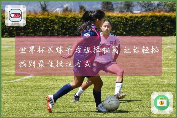 世界杯买球平台选择秘籍 让你轻松找到最佳投注方式