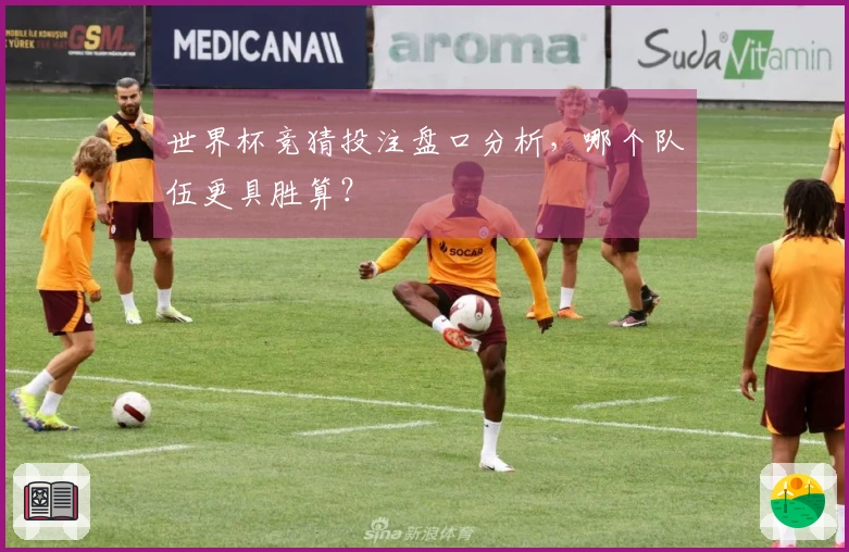 世界杯竞猜投注盘口分析，哪个队伍更具胜算？