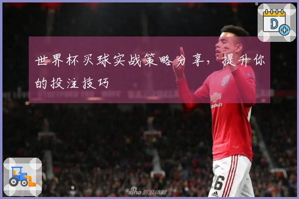 世界杯买球实战策略分享，提升你的投注技巧