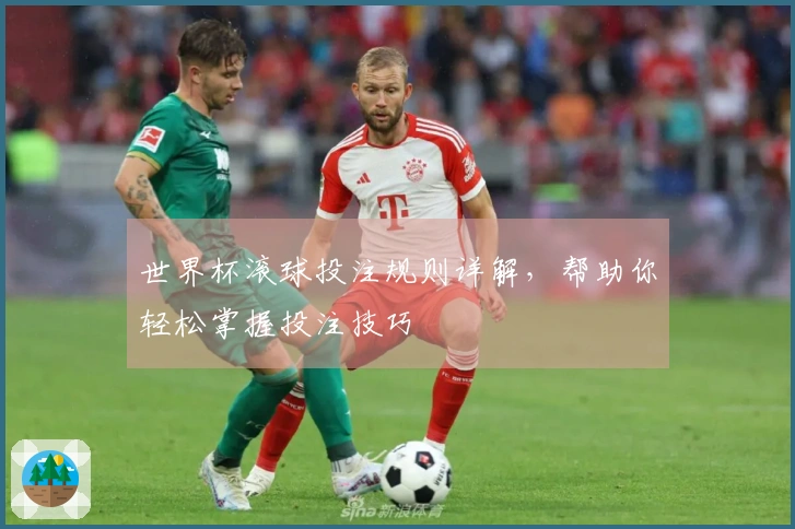 世界杯滚球投注规则详解，帮助你轻松掌握投注技巧