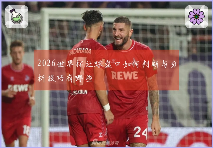 2026世界杯让球盘口如何判断与分析技巧有哪些